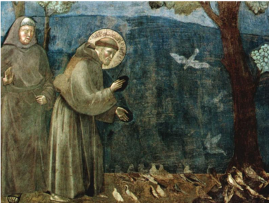 Duhovni vikend: O SANJAH IN ŽIVALIH
