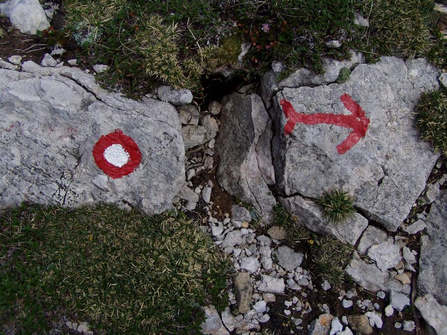 Seminar: »Kako prepoznati Božjo voljo?«