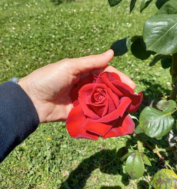 Odmik za ženske: »Resnica vas bo osvobodila« (Jn 8,32)